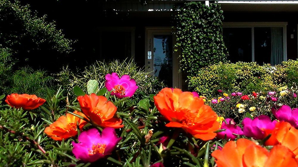 Murray Inn And Art Gallery Exterior foto